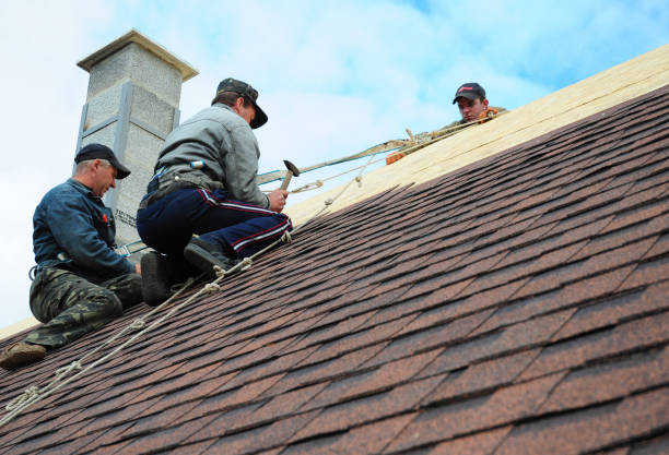 Best Storm Damage Roof Repair  in Millville, DE